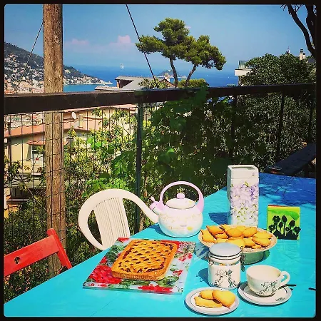Ilgattocarla * Alassio