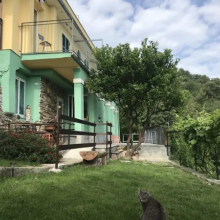 Ilgattocarla *
